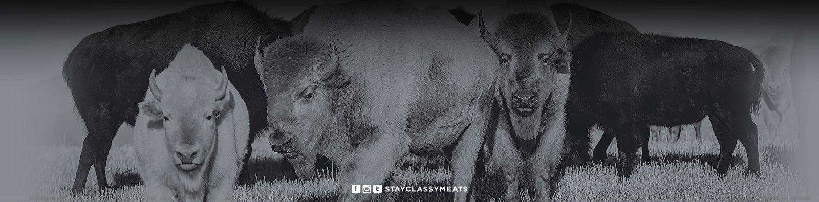 2022 - 11 Most Important Tips When Buying Meat Online